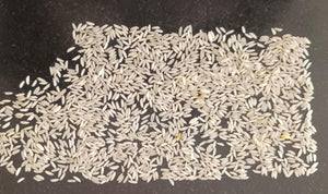 STEAM JEERA RICE ಸ್ಟೀಮ್ ಜೀರಾ ರೈಸ್ , TAJMAHAL - Panchamrutha