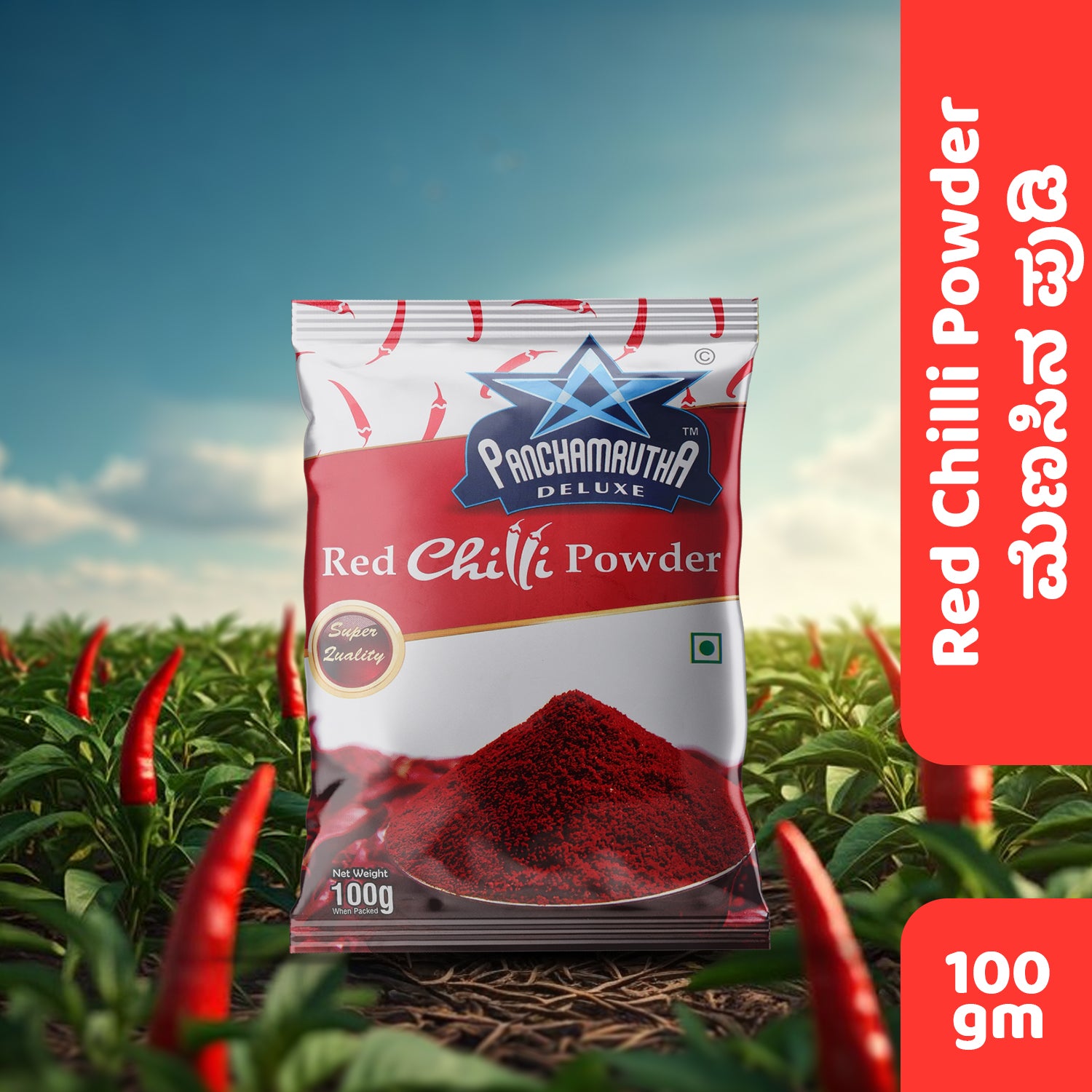 CHILLI POWDER ಖಾರದ ಪುಡಿ, PANCHAMRUTHA DELUXE