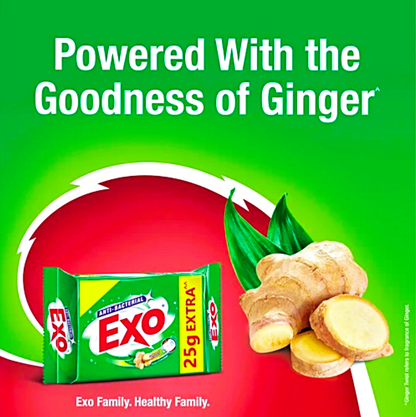 Exo Anti-Bacterial Dishwash Bar - Ginger Twist, 480 g (4 pcs)
