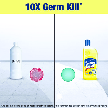 Lizol Disinfectant Surface & Floor Cleaner Liquid - Citrus, 625 ml Bottle