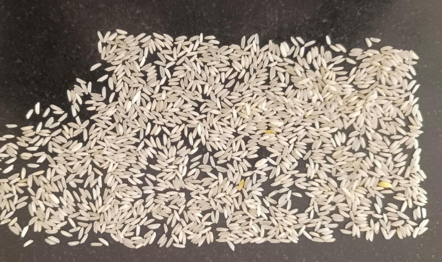 STEAM JEERA RICE ಸ್ಟೀಮ್ ಜೀರಾ ರೈಸ್ , TAJMAHAL - Panchamrutha